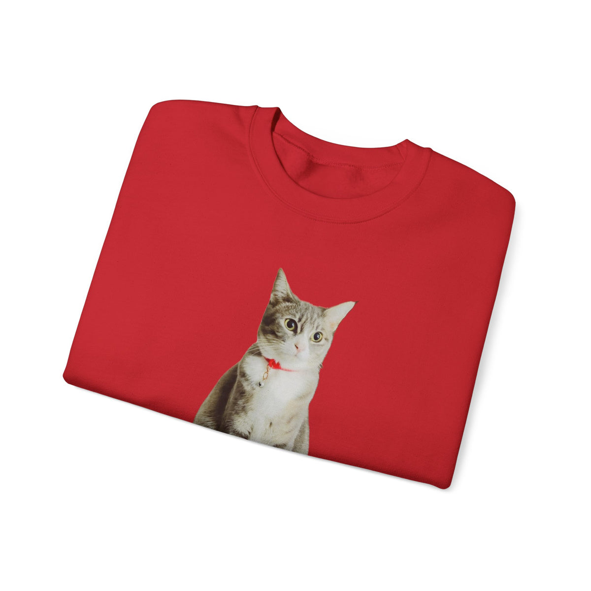 Cat Photo Sweatshirt — Personalized "Nala" Crewneck
