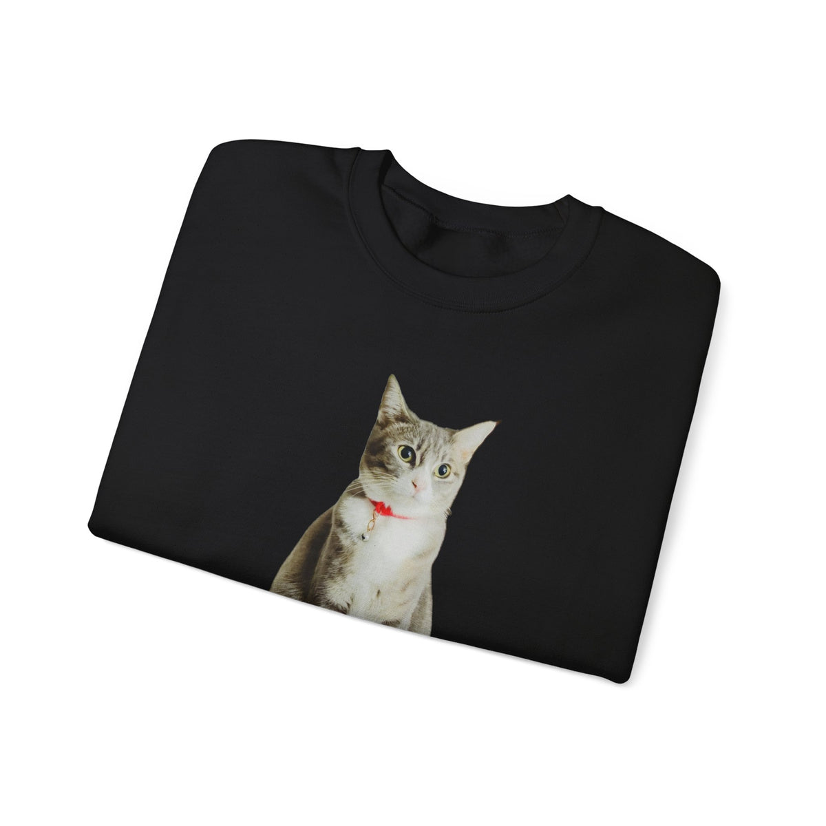 Cat Photo Sweatshirt — Personalized "Nala" Crewneck