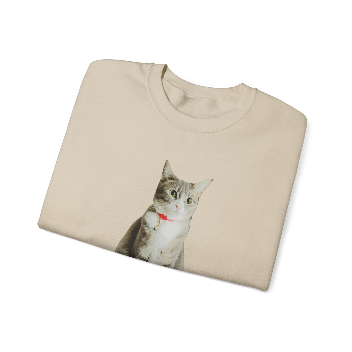 Cat Photo Sweatshirt — Personalized "Nala" Crewneck