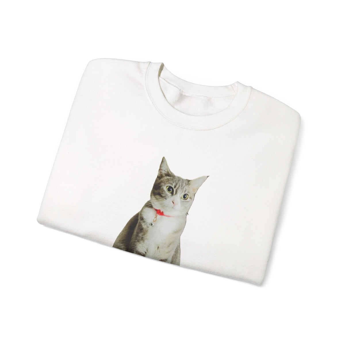 Cat Photo Sweatshirt — Personalized "Nala" Crewneck