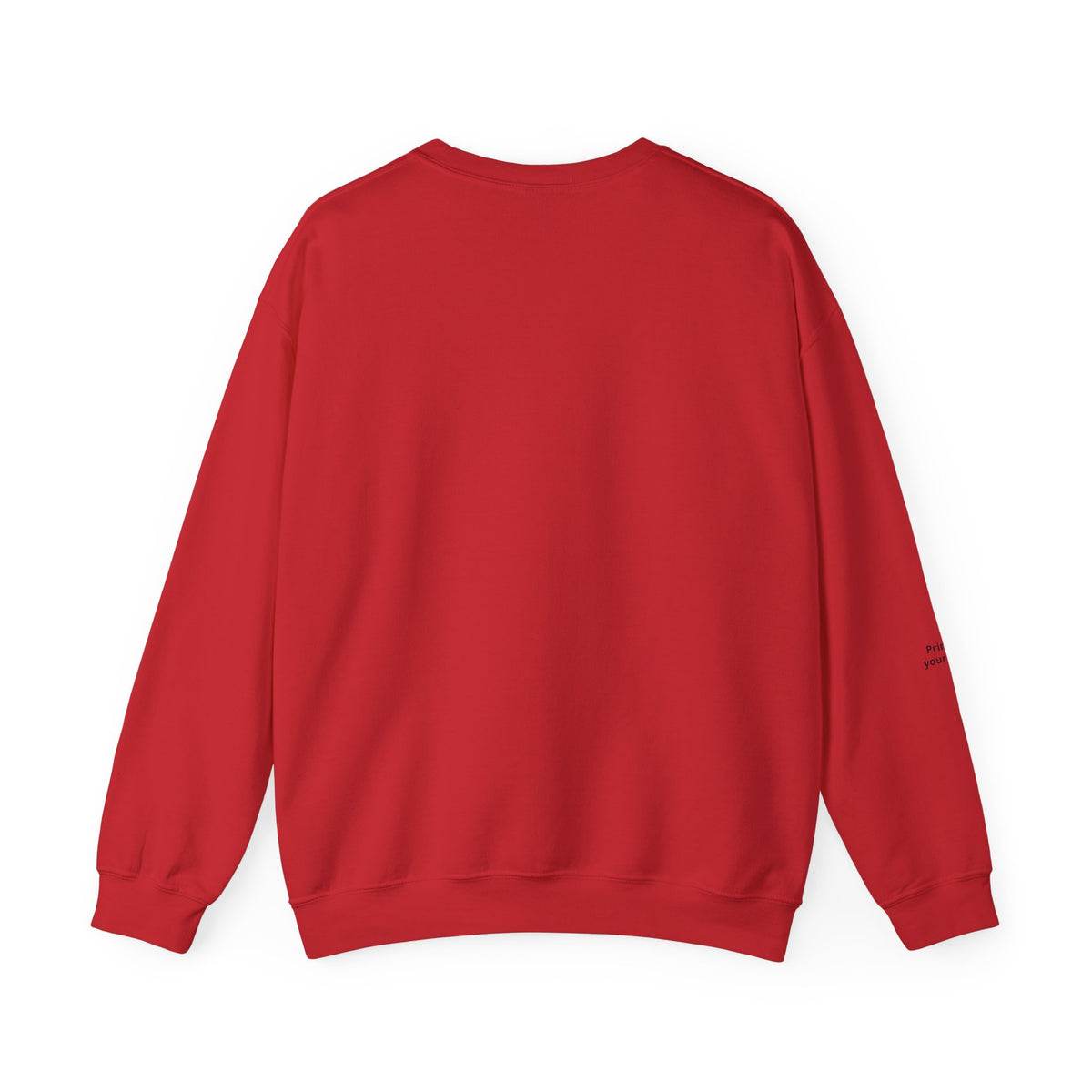 Cat Photo Sweatshirt — Personalized "Nala" Crewneck