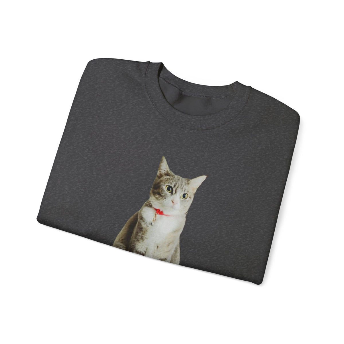 Cat Photo Sweatshirt — Personalized "Nala" Crewneck