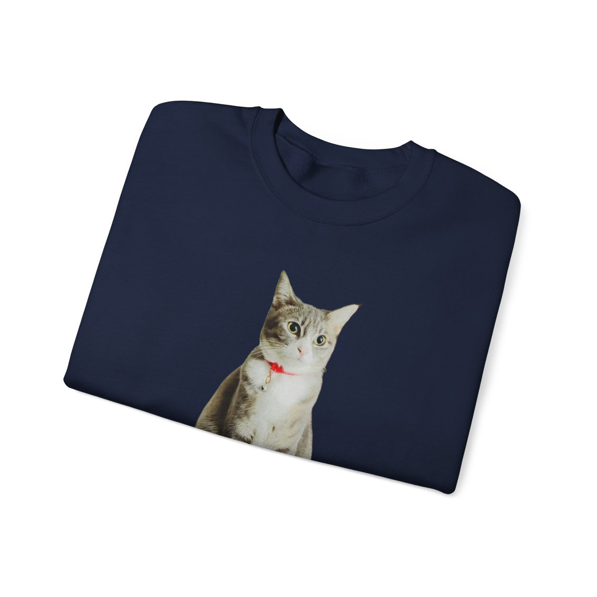 Cat Photo Sweatshirt — Personalized "Nala" Crewneck